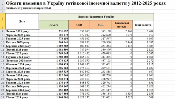 В Україну вперше ввезли більше готівкових євро, ніж доларів